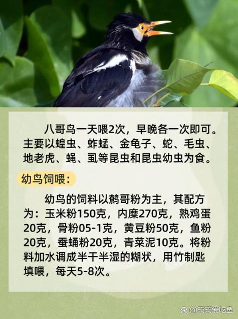 人妻精品猛烈进入的相关介绍