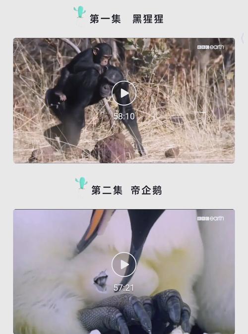 私人影院为什么不好的相关介绍