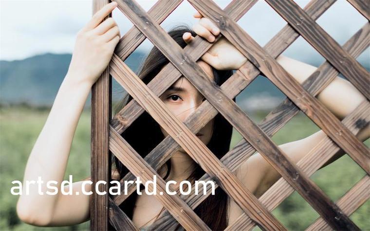 欧美图片12p的相关介绍