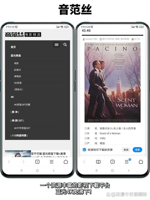 久久久久激情片的相关介绍