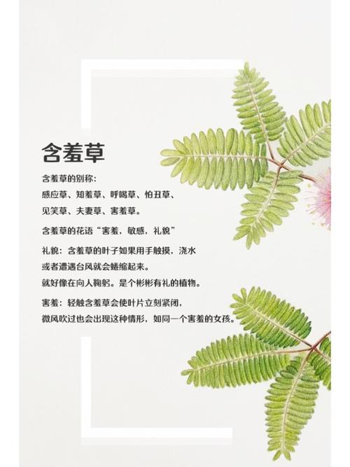 女性出现黄色分泌物的相关介绍