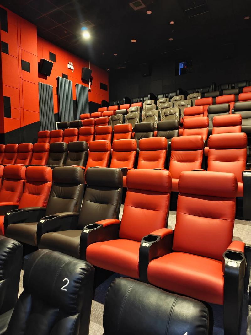 成人影院在现看免费的相关介绍