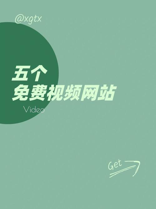 女人的逼免费的相关介绍