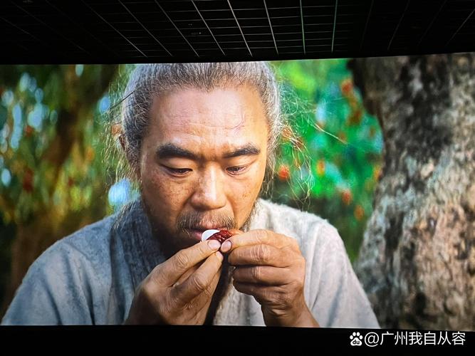 adc影院官方入口的相关介绍