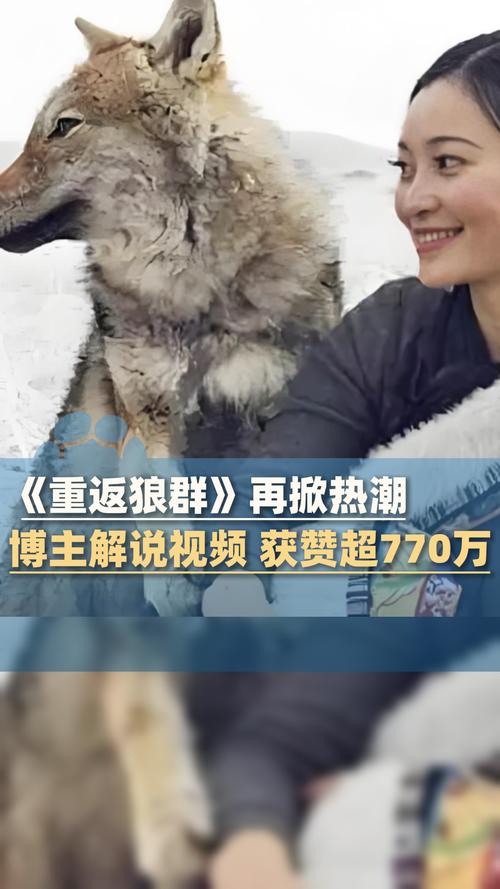 亚洲少妇一区二区在线的相关介绍