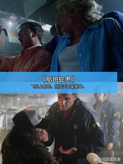 女人18毛片…的相关介绍