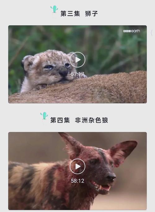亚洲jizzjizz中国少妇的相关介绍