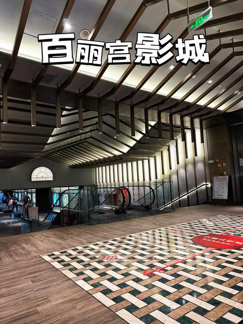 成人在线播放欧美的相关介绍