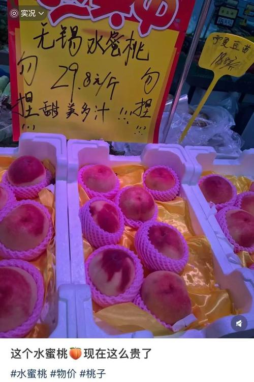 老鬼色琪琪影院的相关介绍