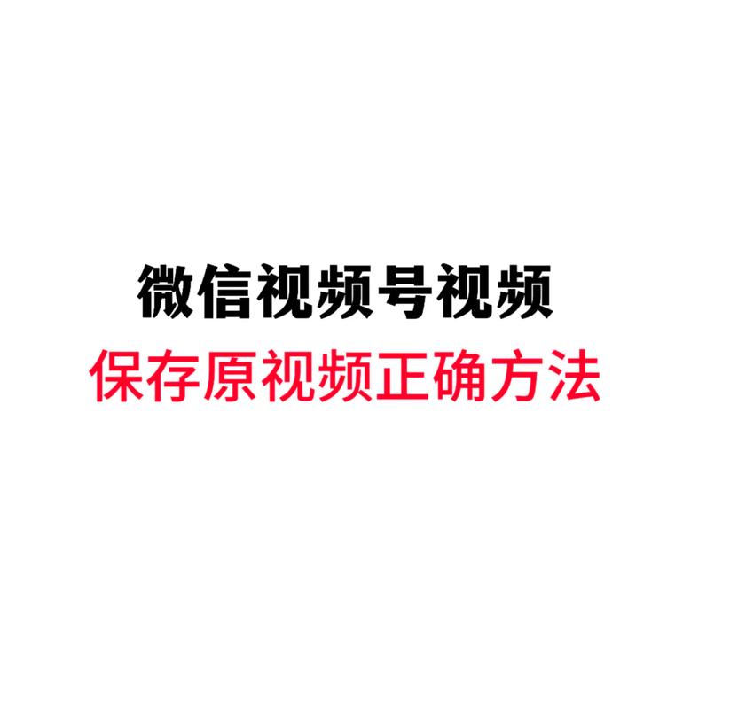 播放一个毛片的相关介绍
