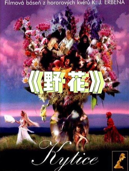 动漫黑丝av的相关介绍