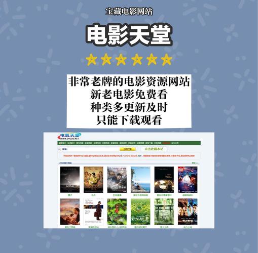 看毛片看毛片的相关介绍