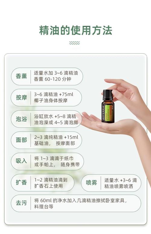 夜夜春亚洲嫩草影院的相关介绍