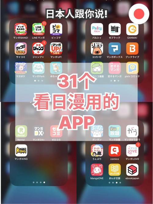 少妇出白浆视频的相关介绍