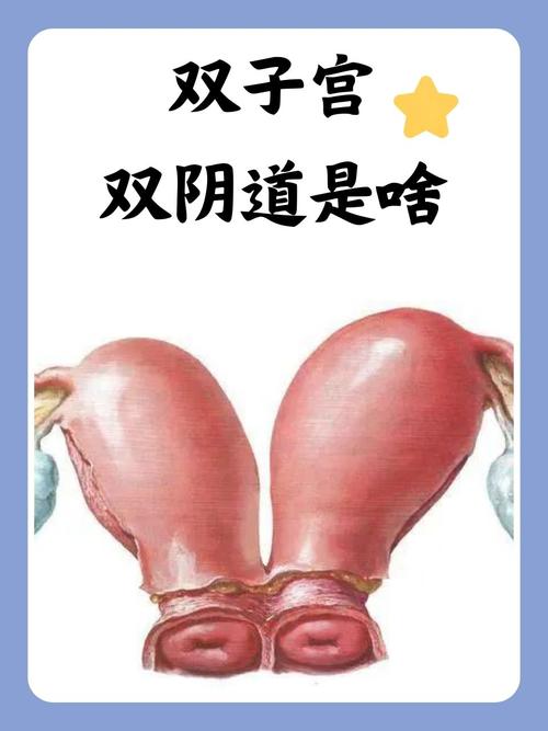 美女交欢的相关介绍