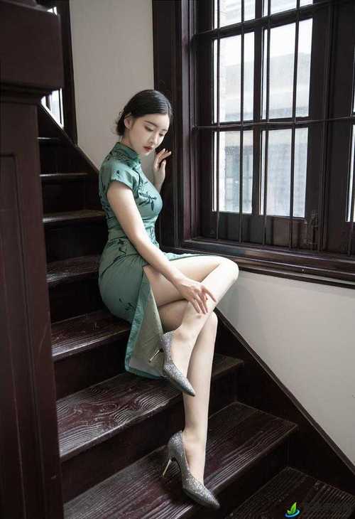 中文字幕av一区二区三区人妻少妇的相关介绍