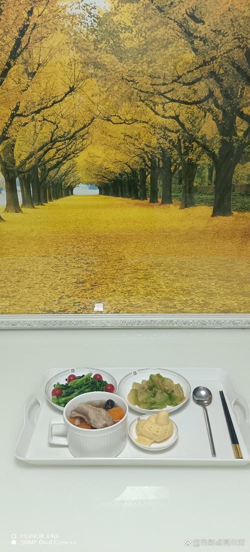 丰满的少妇av一区二区三区的相关介绍