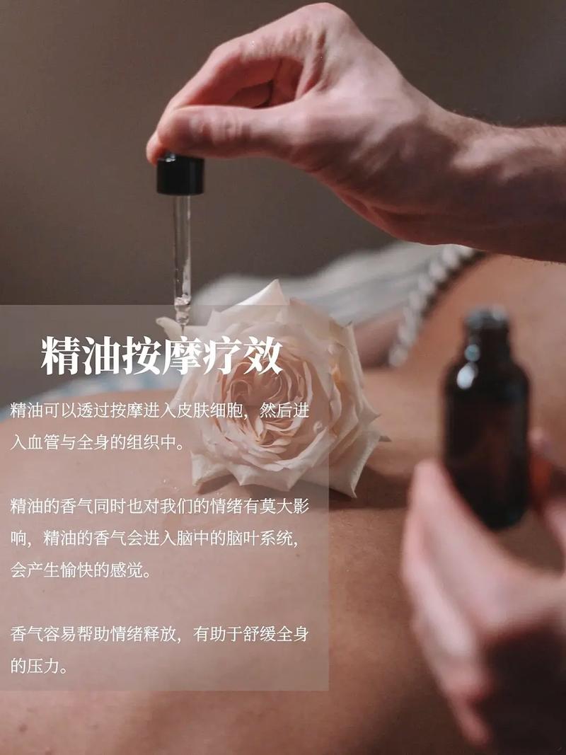 www精品久久久的相关介绍