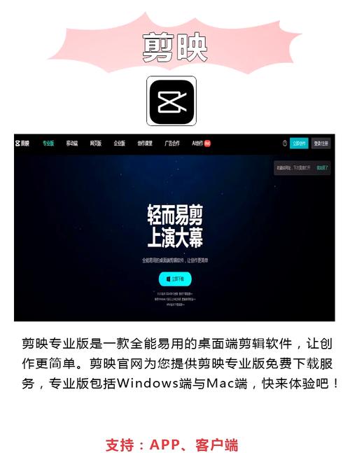 达达兔影院院的相关介绍