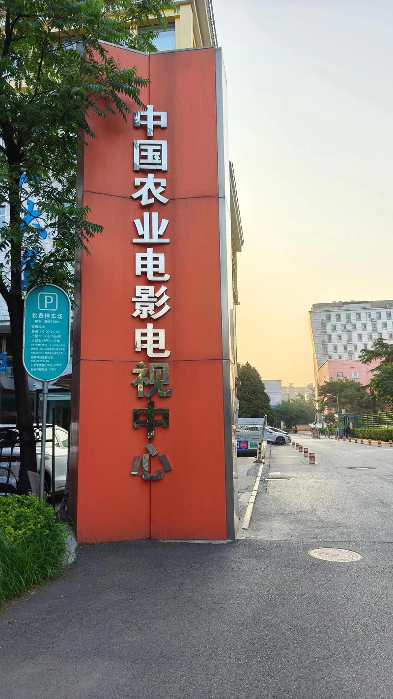 年轻母亲4放放影院的相关介绍