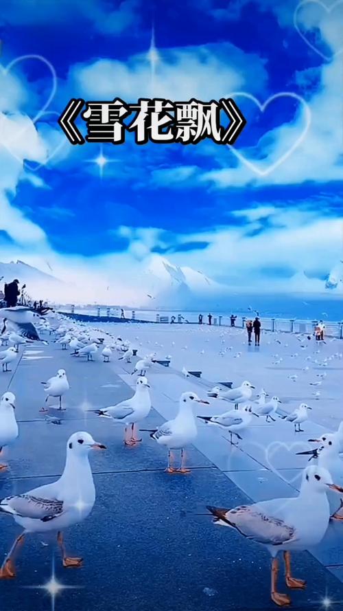 免费看搞b女生的相关介绍