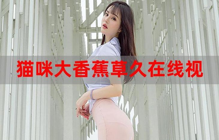 少妇操白浆的相关介绍