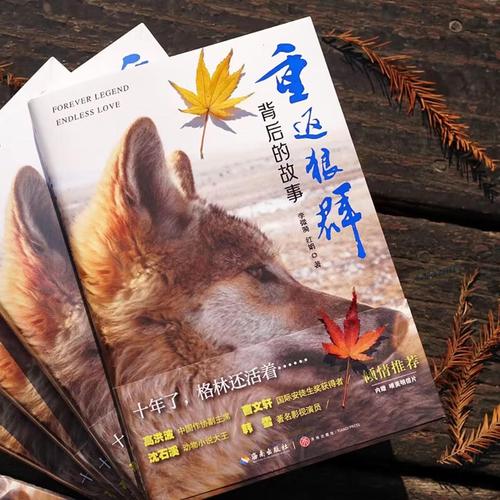 亚洲人成影院在线播放的相关介绍