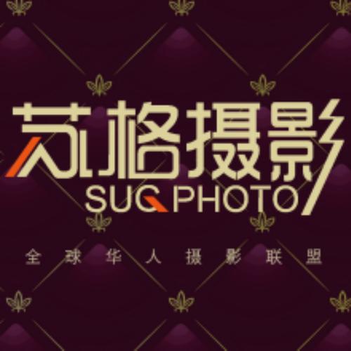 影院最新上映电影的相关介绍