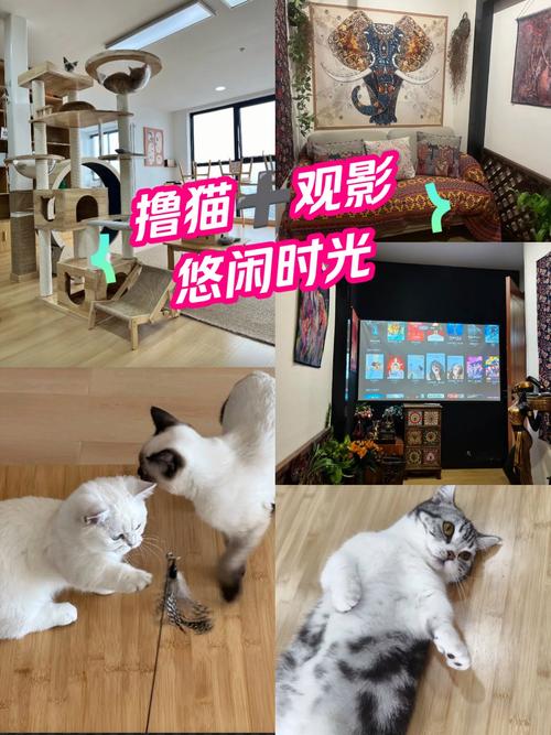 欧美美女大尺度照片的相关介绍