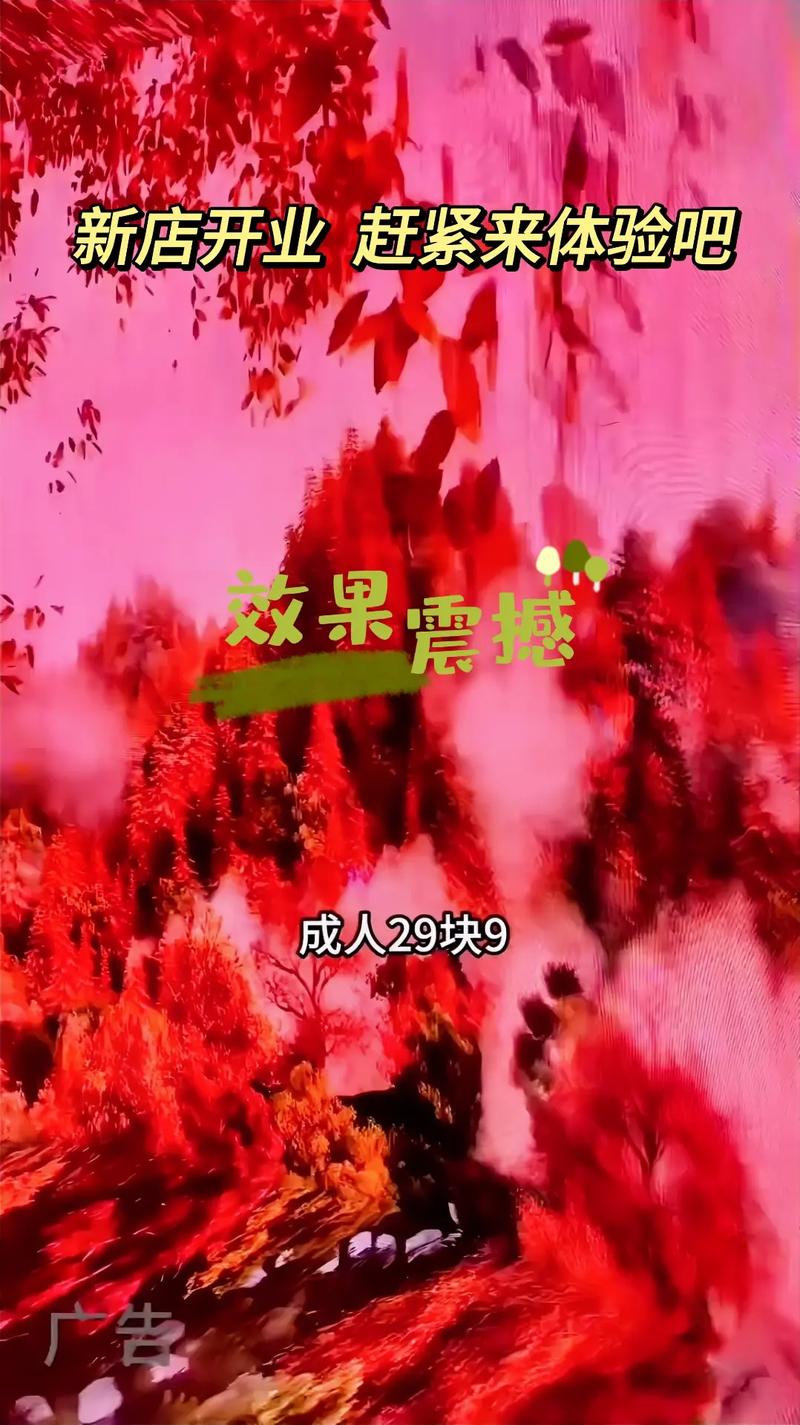 6090青苹果手机影院手机版的相关介绍