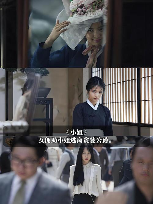 苍老师啪啪啪的相关介绍