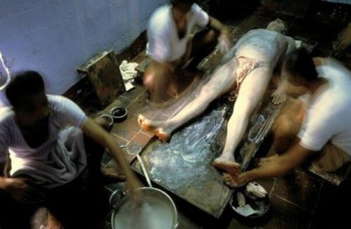 女人的逼免费网站的相关介绍