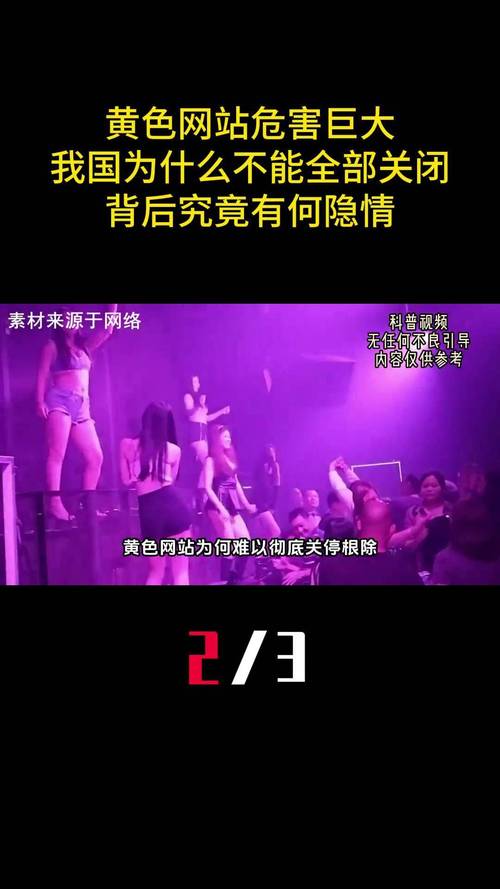 高清女大在毛片的相关介绍