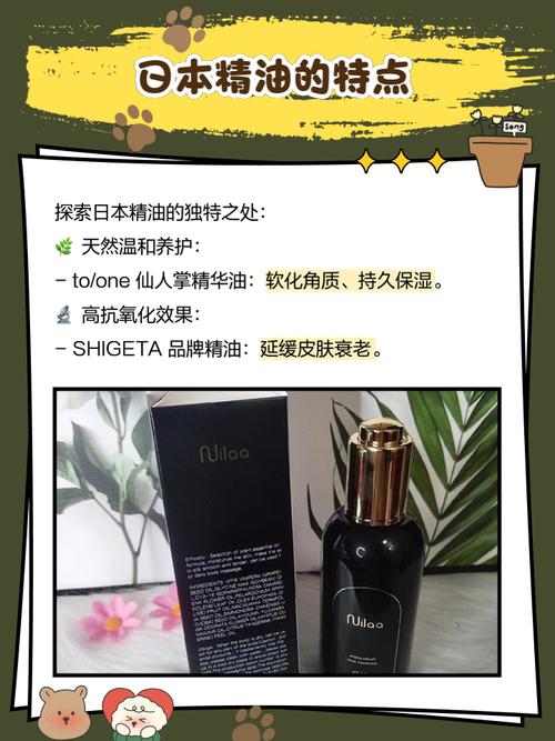 熟女黑丝在线的相关介绍