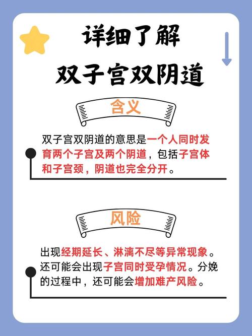 操的流白浆视频的相关介绍