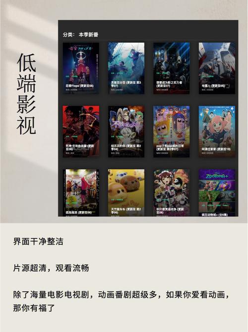 窝窝影院的相关介绍