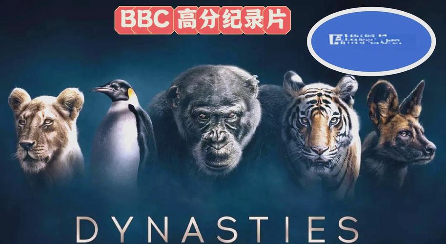 和平影院的相关介绍