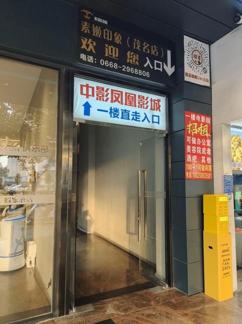 飞猪电影院的相关介绍