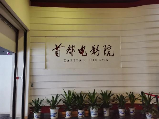 女人又爽又黄视频av动漫的相关介绍