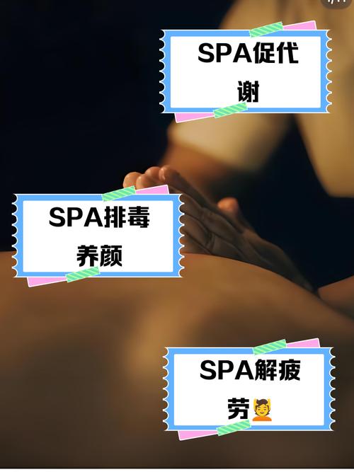 女女黄动漫的相关介绍