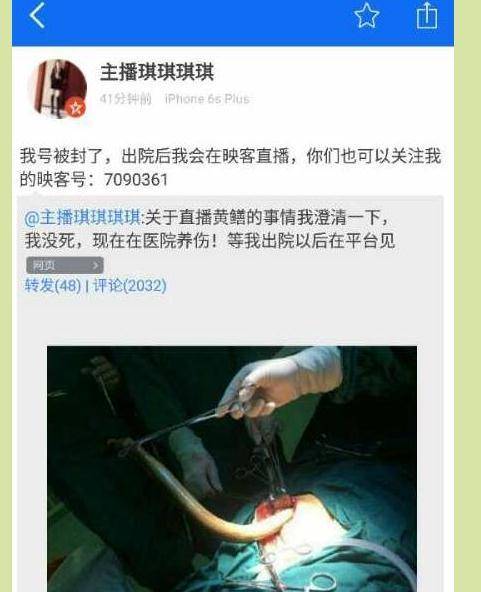 嗯嗯啊啊调教的相关介绍