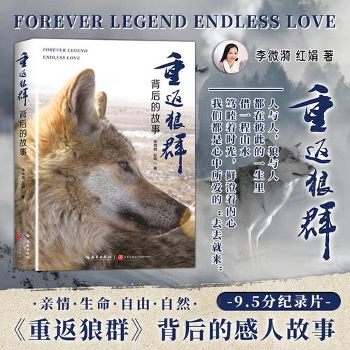 邯郸电影院的相关介绍