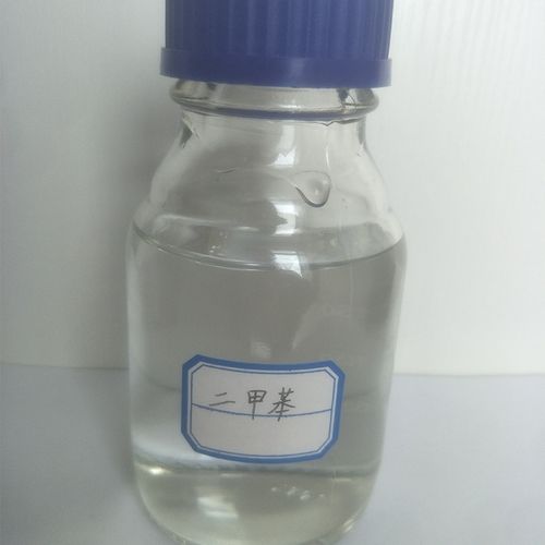 辣文凌辱的相关介绍