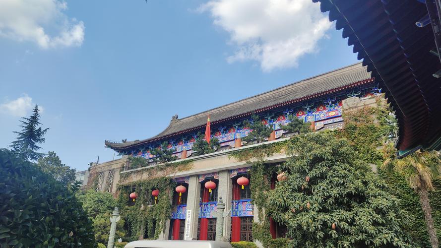 荔枝影院午夜的相关介绍