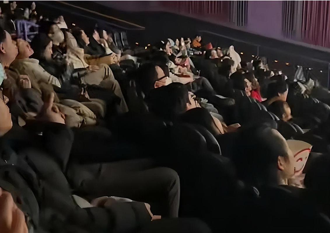 荔枝影院的相关介绍