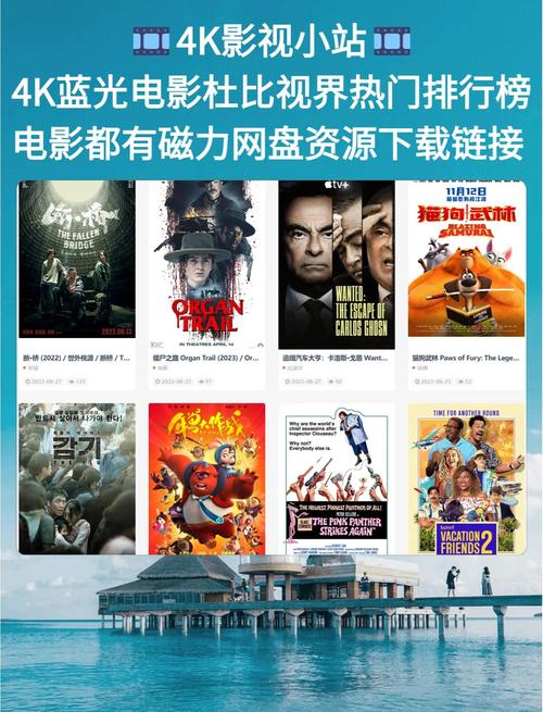 天机影院神马的相关介绍