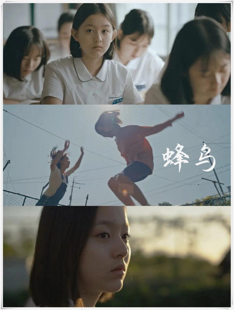 可以看女人逼的的相关介绍