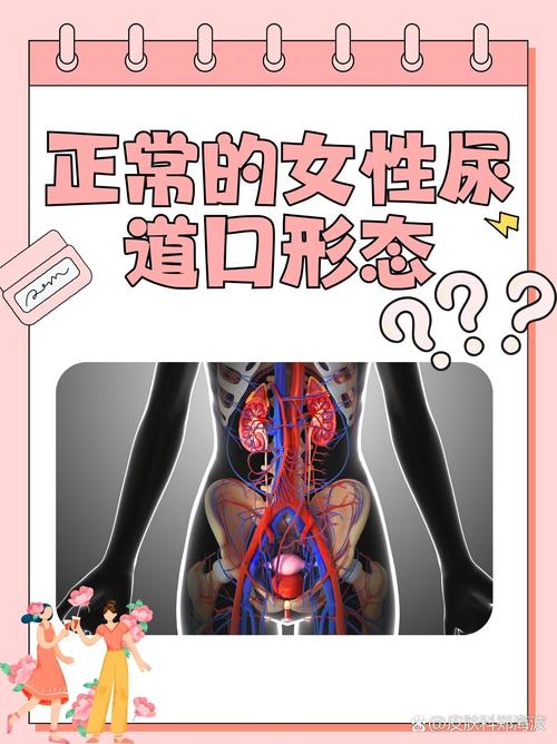 古代强暴辣文np的相关介绍