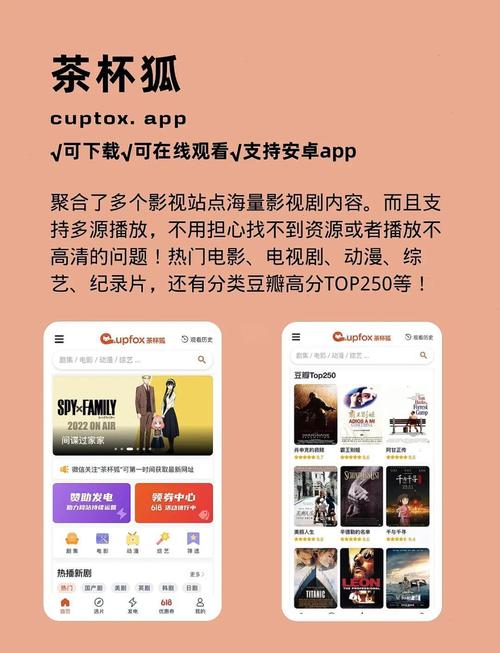色中酷影院的相关介绍